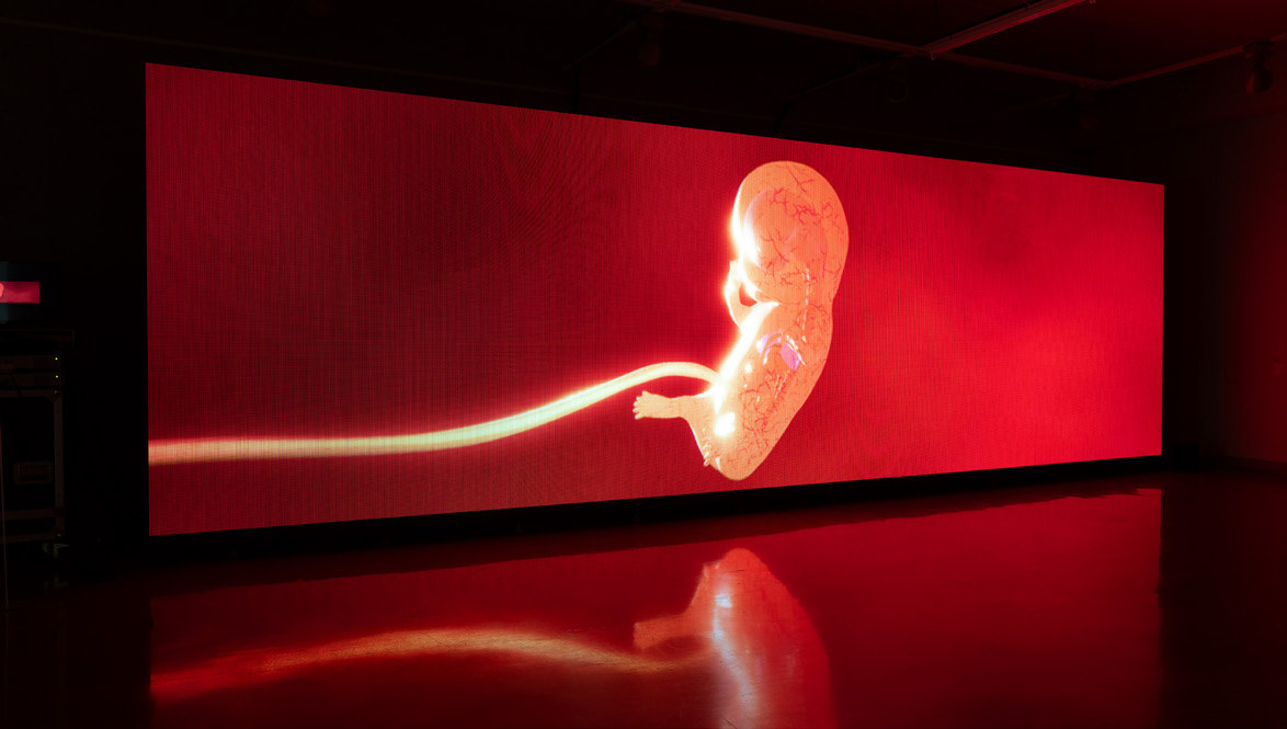 Burning with Heart installation view