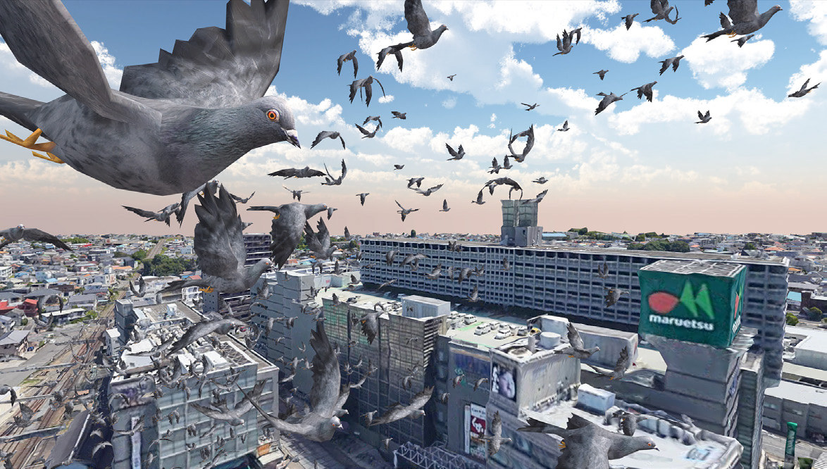 Dreaming Saitama pigeons
