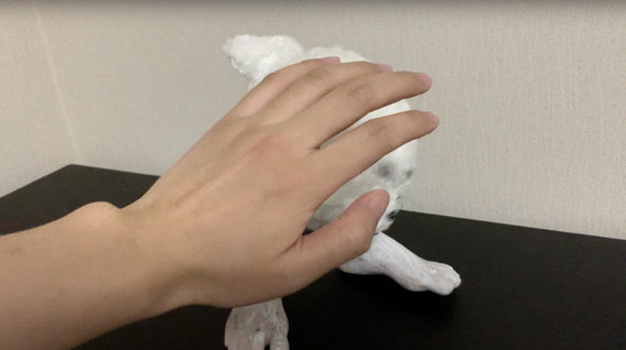 映像の抜粋